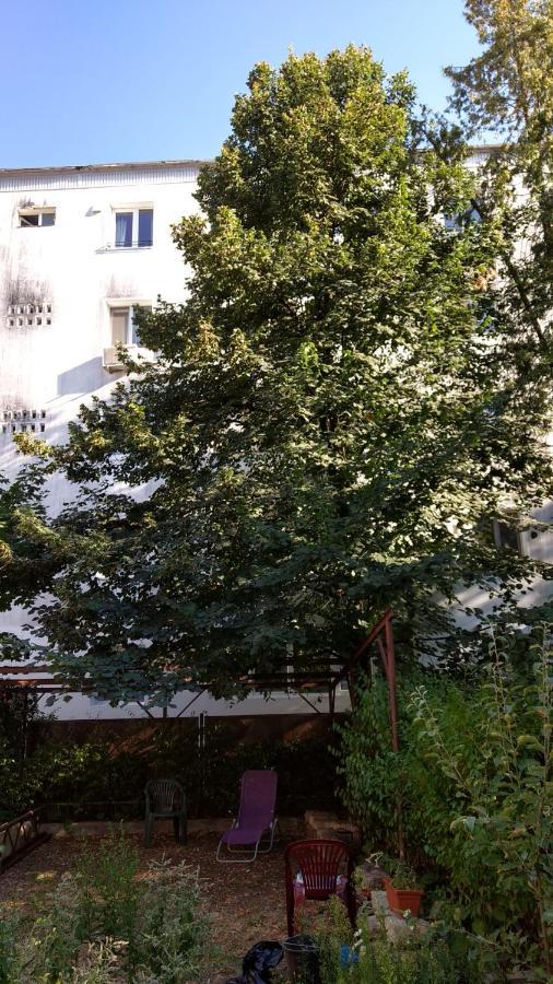 클루지나포카 Casa Cu Tei 아파트 외부 사진